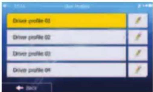 Driver profile 01 Driver profile 02 Driver profile 03 Driver profile 04