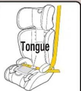 Tongue