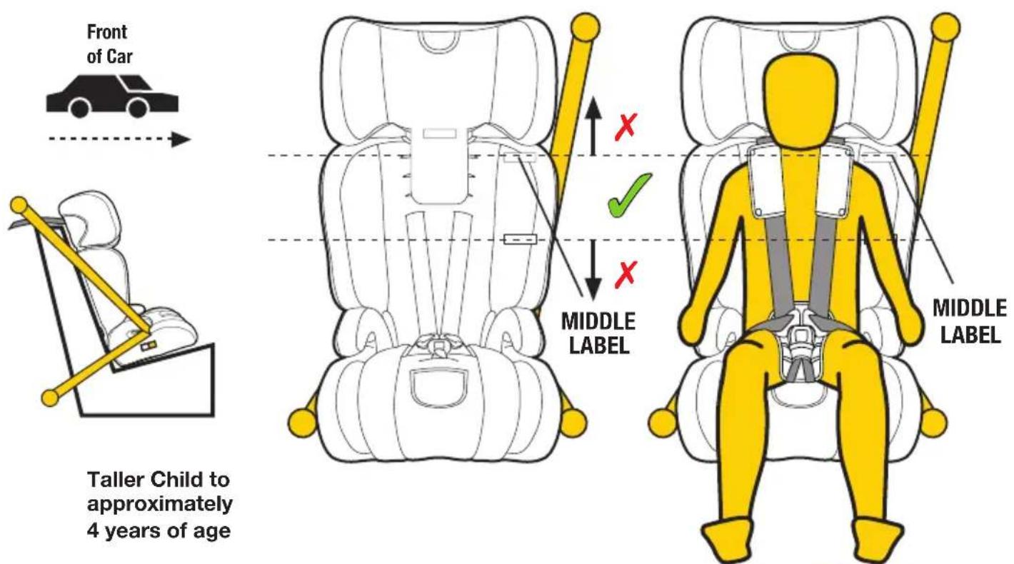 Front of Car Taller Child to approximately 4 years of age MIDDLE LABEL MIDDLE LABEL