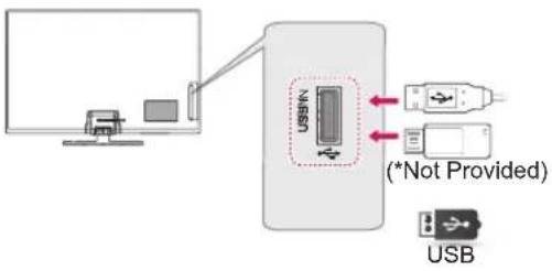 LG 42PN452D - USB Connection - 1