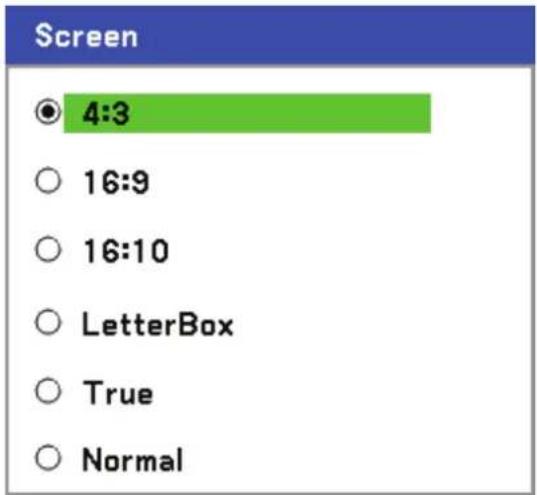 VIVITEK D6010 - Screen - 1