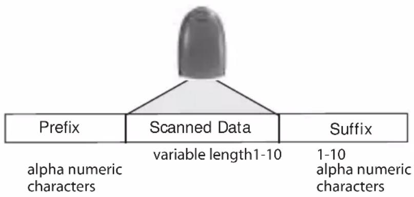 graph TD A["Prefix"] --> B["Scanned Data"] B --> C["Suffix"] style A fill:#f9f,stroke:#333 style B fill:#ccf,stroke:#333 style C fill:#cfc,stroke:#333 note1["alpha numeric characters"] --> A note2["variable length1-10"] --> B note3["1-10 alpha numeric characters"] --> C