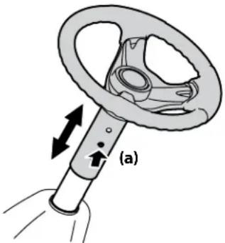 (a)