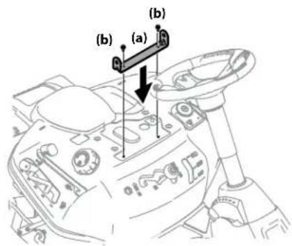 (a) (b)