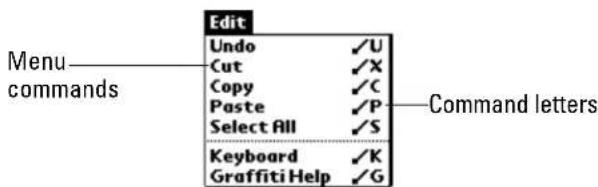 Edit Undo ✓U Cut ✓X Copy ✓C Paste ✓P Select All ✓S Keyboard ✓K Graffiti Help ✓G Menu commands Command letters
