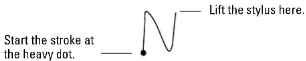 Start the stroke at the heavy dot. Lift the stylus here.