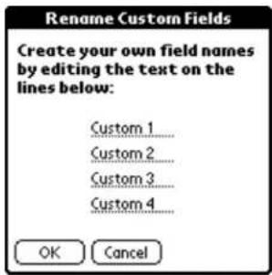 Rename Custom Fields Create your own field names by editing the text on the lines below: Custom 1 Custom 2 Custom 3 Custom 4 OK Cancel