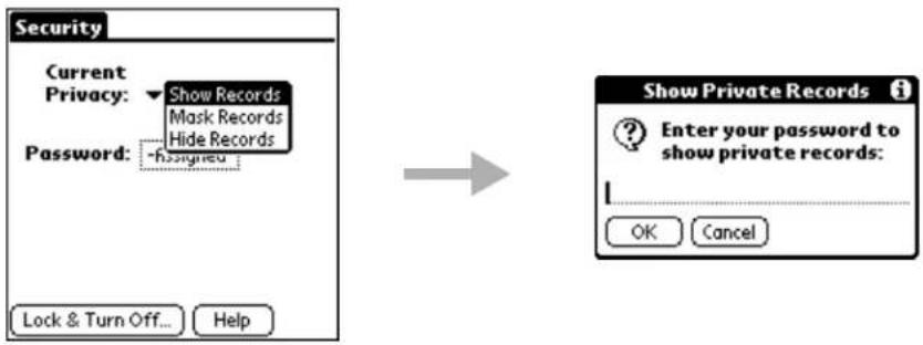 Security Current Privacy: Show Records Mask Records Hide Records Password: -hasigned Lock & Turn Off... Help Show Private Records i Enter your password to show private records: OK Cancel