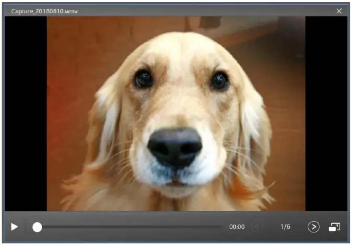 CYBERLINK YouCam 8 - Playing Videos in the Video Player - 1
