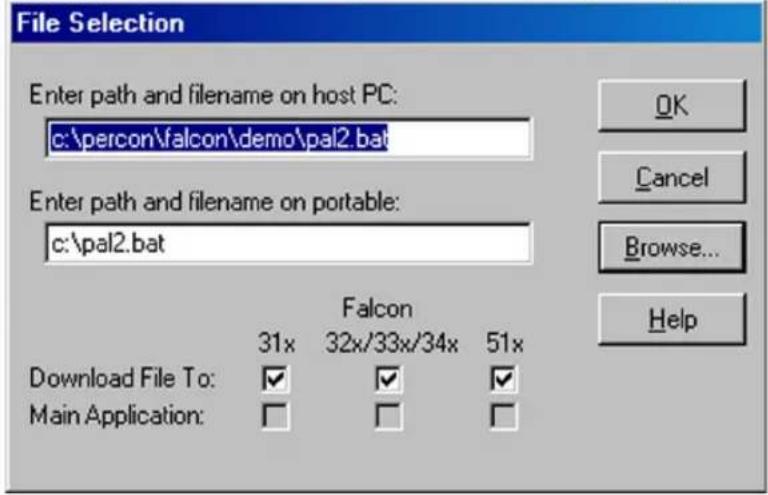 DATALOGIC Falcon 345 - The File Configuration Windows - 2