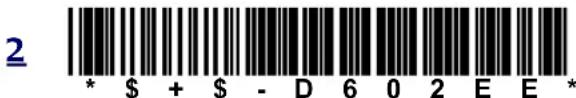 DATALOGIC Falcon 345 - Other Controls - 17