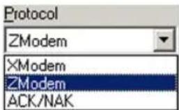 DATALOGIC Falcon 345 - Protocol - 1