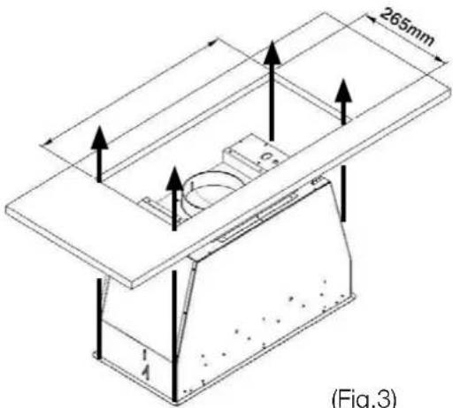 265mm Fig.3