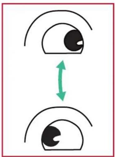 VIEWSONIC IFP7550-M1 - Eye Exercises - 2