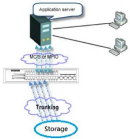 D-LINK DSN-6210 - The usage occasion of Trunking: - 1