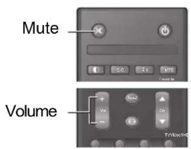 Mute Volume