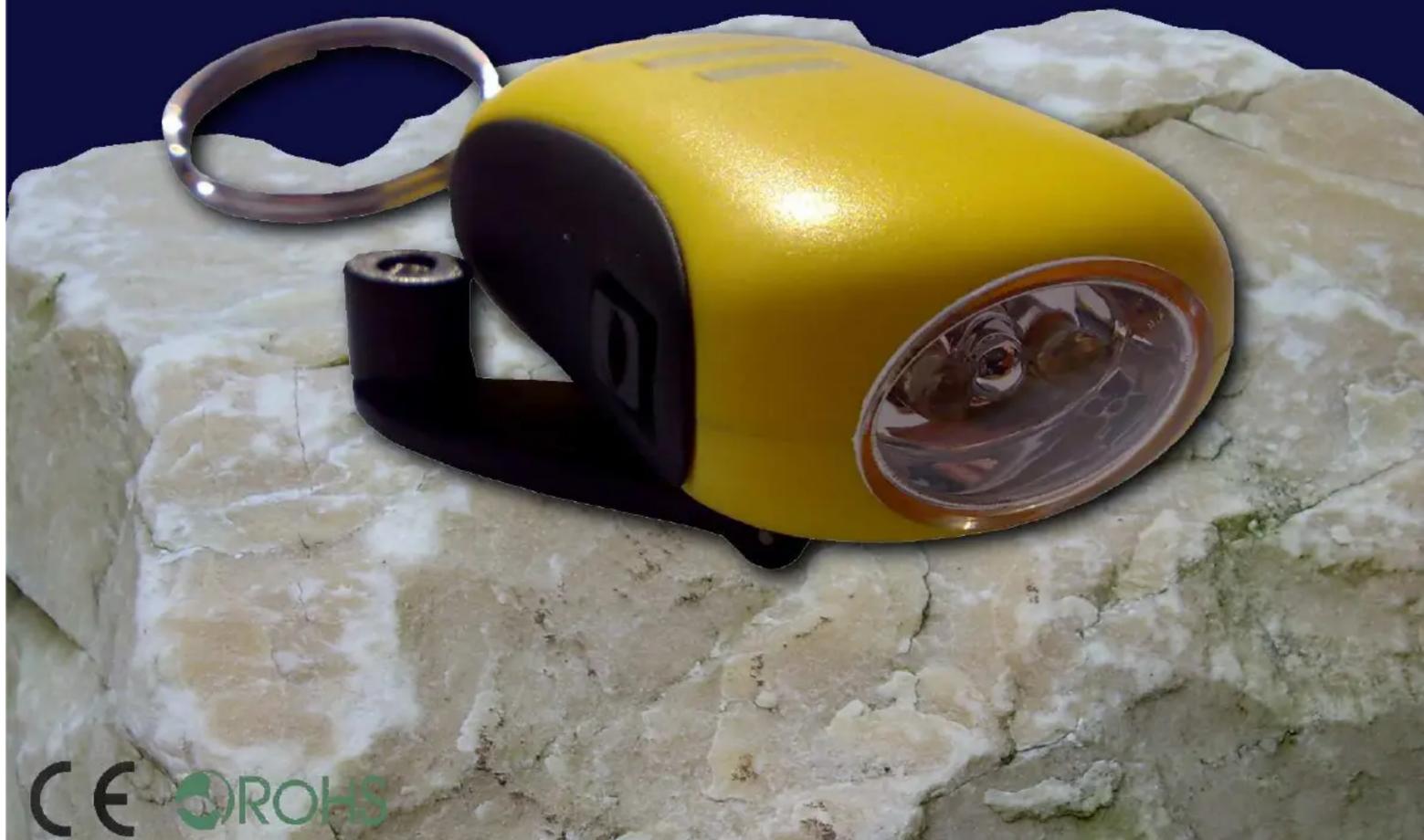PowerPlus Bee - KEYCHAIN - 1