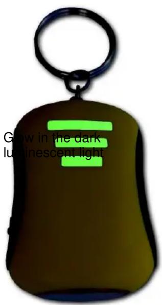 Glow in the dark luminescent light