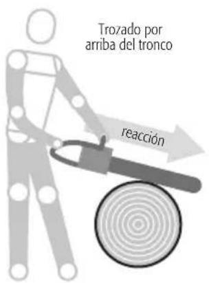 Trozado por arriba del tronco reacción