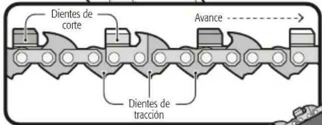 Dientes de corte Avance Dientes de tracción