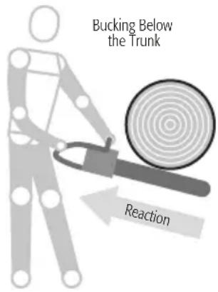 Bucking Below the Trunk Reaction
