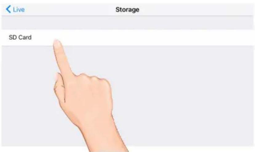 Live Storage SD Card