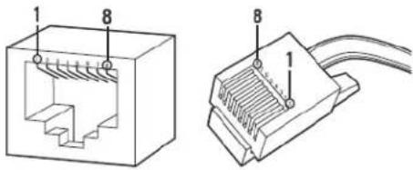 Technical diagram of a Ethernet cable connector showing internal structure and terminal labels