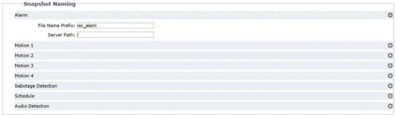 Snapshot Naming Alarm File Name Prefix: rec_alarm Server Path: / Motion 1 Motion 2 Motion 3 Motion 4 Sabotage Detection Schedule Audio Detection