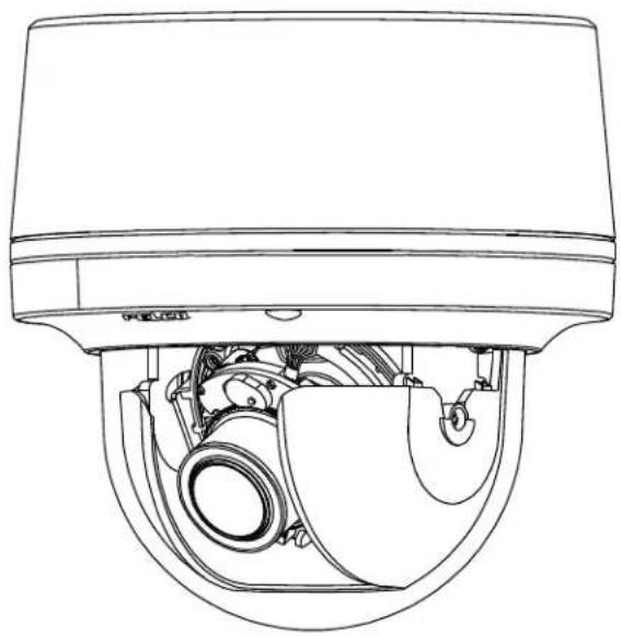 Pelco Sarix Professional IMP IMP121-1IS - User Manual - 1