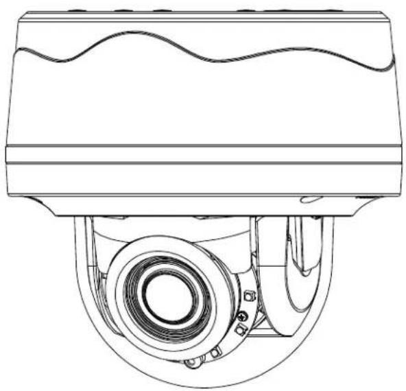 Pelco Sarix Professional IMP221-1RS - User Manual - 1