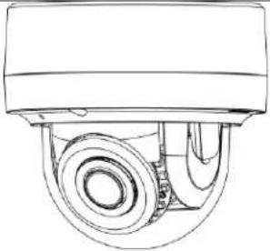 Pelco Sarix Professional IMP331-1IRS - 1