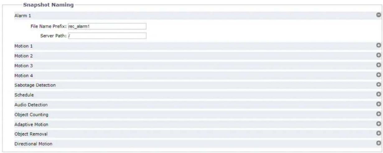 Snapshot Naming Alarm 1 File Name Prefix: rec_alarm1 Server Path: / Motion 1 Motion 2 Motion 3 Motion 4 Sabotage Detection Schedule Audio Detection Object Counting Adaptive Motion Object Removal Directional Motion
