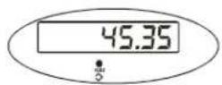 Brecknell SBI-100 - Hold Function with Automatic Zero on Next Weigh - 13