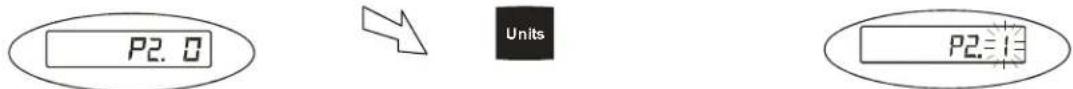 P2.0 Units P2.1