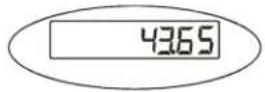 Brecknell SBI-100 - Print Function - 2