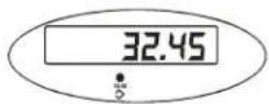 Brecknell SBI-100 - Hold Function with Manual Release - 7