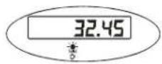 Brecknell SBI-100 - Hold Function with Automatic Zero on Next Weigh - 5