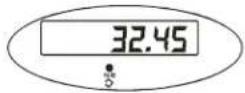 Brecknell SBI-100 - Hold Function with Automatic Zero on Next Weigh - 7