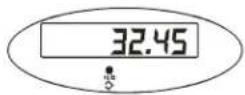 Brecknell SBI-100 - Hold Function with Automatic Zero on Next Weigh - 9