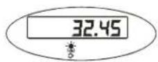 Brecknell SBI-100 - Hold Function with Manual Release - 5