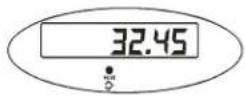 Brecknell SBI-100 - Hold Function with Manual Release - 9
