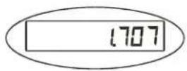 Brecknell SBI-100 - Using the Tare - 2