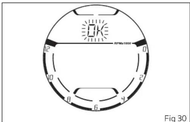 RPMax1000 Fig 30