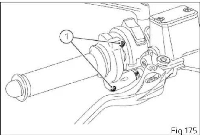 1 Fig 175