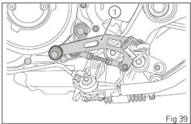 1 Fig 39