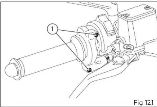 1 Fig 121