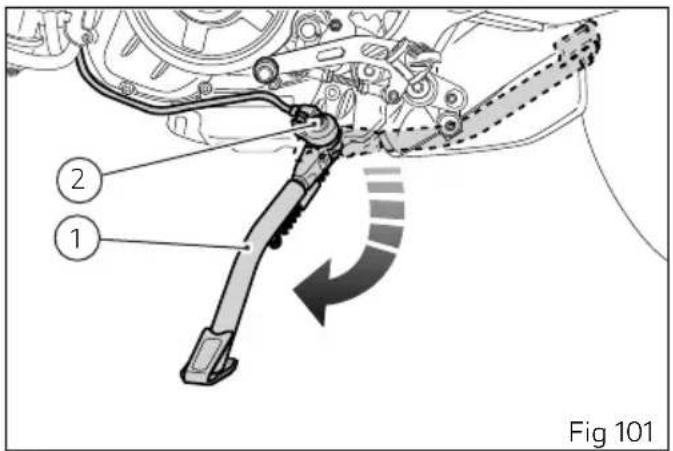 Fig 101
