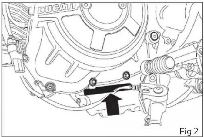 DUCALI Fig 2