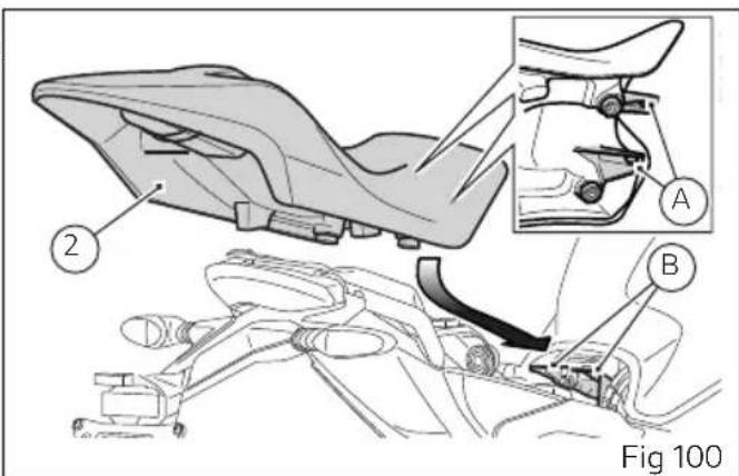 Fig 100