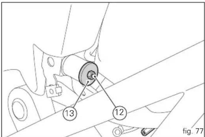 13 12 fig. 77